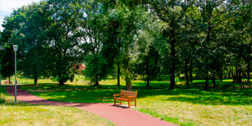 Medio Ambiente y Zonas Verdes